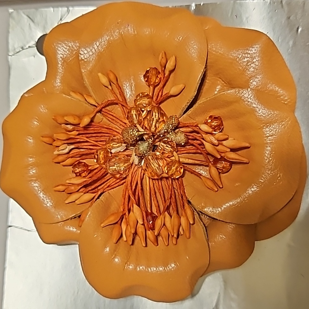 Large vegan leather brooch teaching color